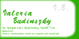 valeria budinszky business card